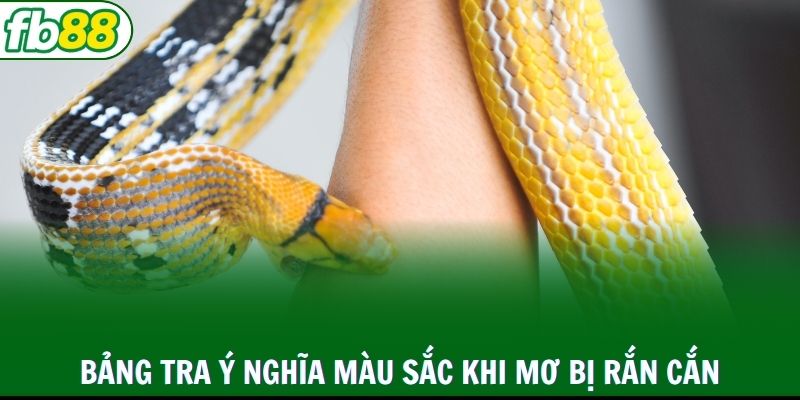 Bảng tra ý nghĩa màu sắc khi bị rắn cắn