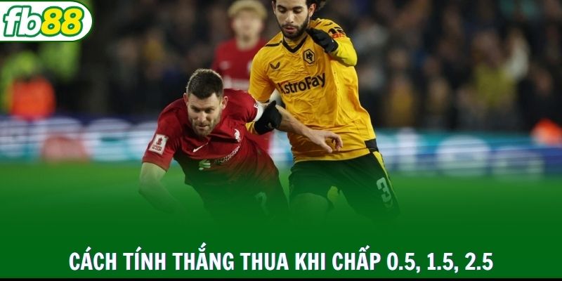 Cách tính thắng thua khi chấp 0.5, 1.5, 2.5