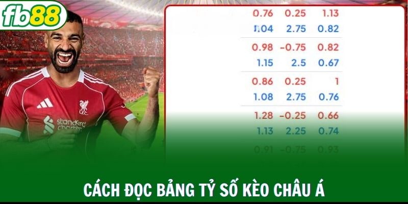 Chỉ dẫn cách đọc kèo tỷ số bóng đá Châu Á chuẩn từ A đến Z