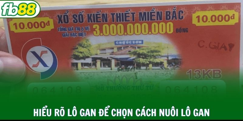 Hiểu rõ lô gan để chọn cách nuôi lô gan tối ưu nhất